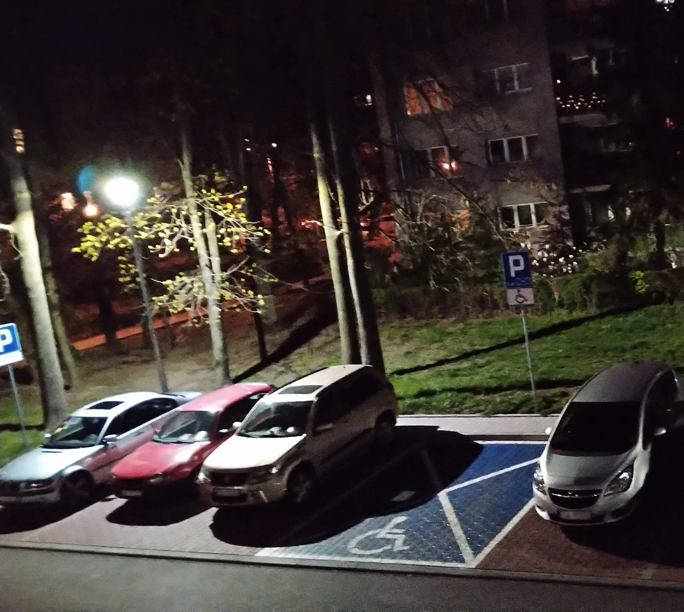 Opis