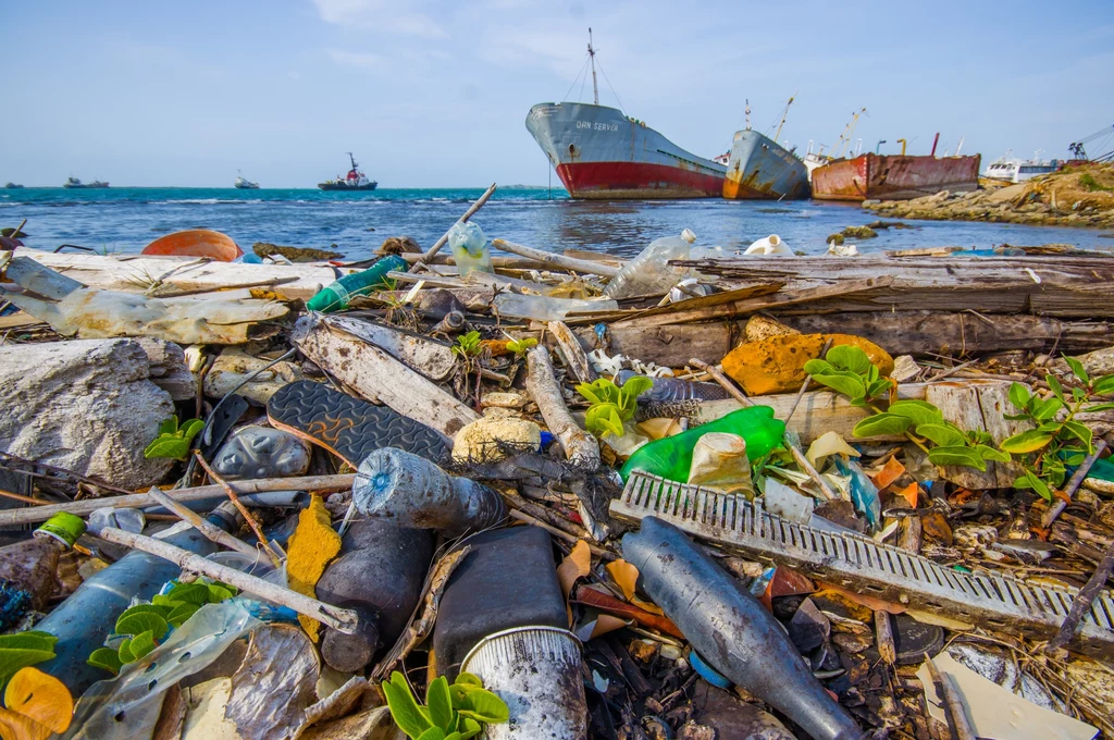 Śmieci są wszędzie - najbardziej zanieczyszczają morza i oceany