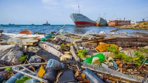 Nie tylko Wielka Plama Śmieci. Plastik dotarł już nawet tam