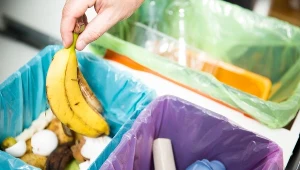 ​Zmiany w segregacji śmieci od stycznia. Nowy pojemnik trzeba kupić samodzielnie