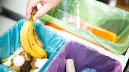 ​Zmiany w segregacji śmieci od stycznia. Nowy pojemnik trzeba kupić samodzielnie