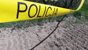 To trzecie w tym roku tego typu znalezisko na terenie powiatu tarnowskiego