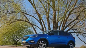 Opel Grandland X Turbo D na zdjęciach