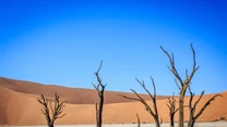 Park Narodowy Namib-Naukluft