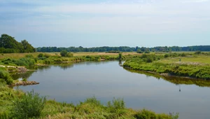 Majowa wyprawa nad Jezioro Ślesińskie i Wartę