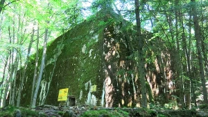 Na zdjęciu "Wilczy Szaniec"