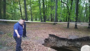 Dziura w ziemi w bytomskim parku, zdjęcie pochodzi z profilu: Krzysztof Gawenda Radny Rady Miejskiej w Bytomiu
