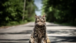 "Smętarz dla zwierzaków" [recenzja]: Tych granic się nie przekracza