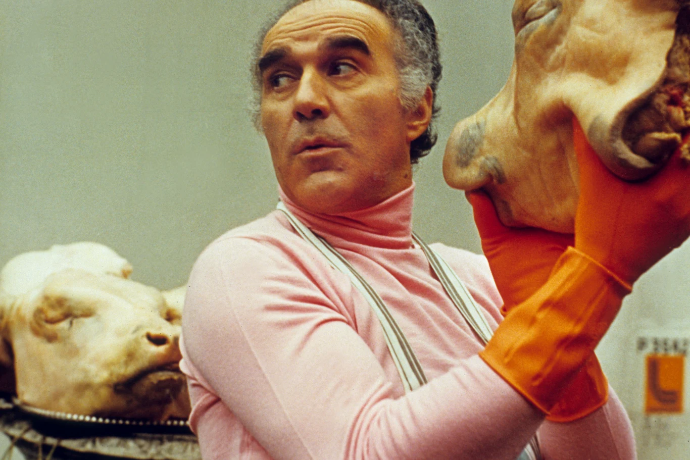 Michel Piccoli Michel Piccoli