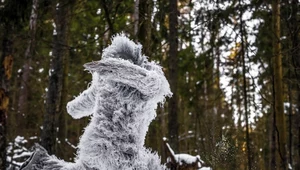 Indyjska armia odkryła ślady Yeti