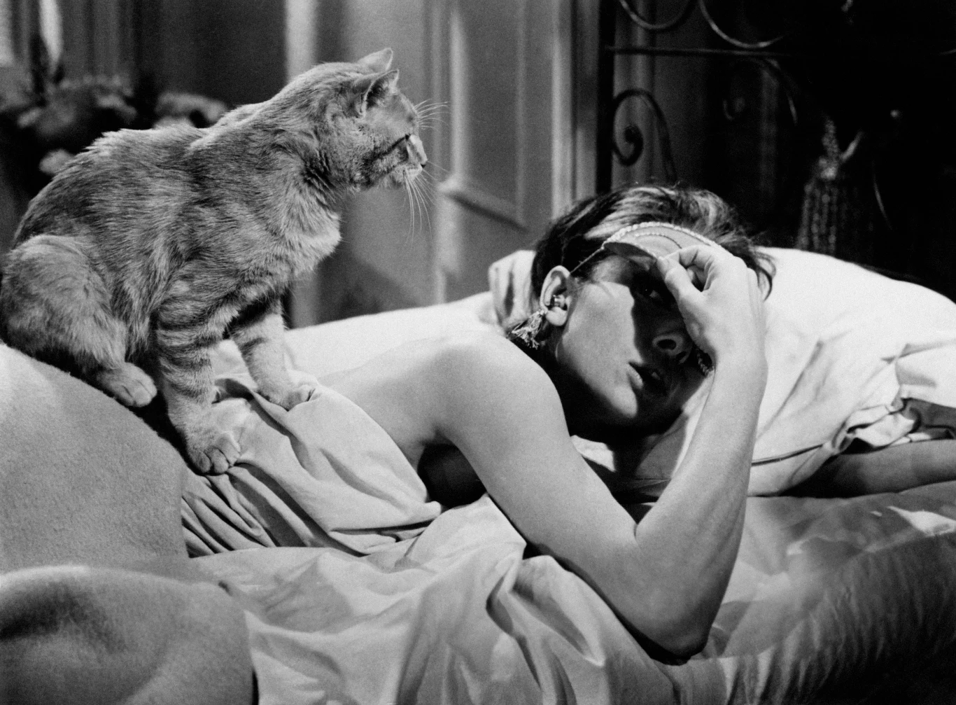 W 1953 r. Audrey zagrała również w innym filmie - "Sabrinie" Billy'ego Wildera wraz z Humphreyem Bogartem i Williamem Holdenem. Film przyniósł jej nominację do Oscara (1955) oraz nagrodę BAFTA dla najlepszej aktorki. 25 maja 1954 r. Audrey zdobyła Oscara za "Rzymskie wakacje", trzy dni później nagrodę Tony dla najlepszej aktorki teatralnej za sztukę "Ondine", w której wystąpiła u boku Mela Ferrera. Taki sukces przed nią osiągnęła tylko jedna aktorka - Helen Hayes. W tym samym roku wyszła za Ferrera za mąż (rozwiedli się w 1967 r.), mieli syna Seana.

Na zdjęciu: Audrey Hepburn w filmie "Śniadanie u Tiffany'ego"