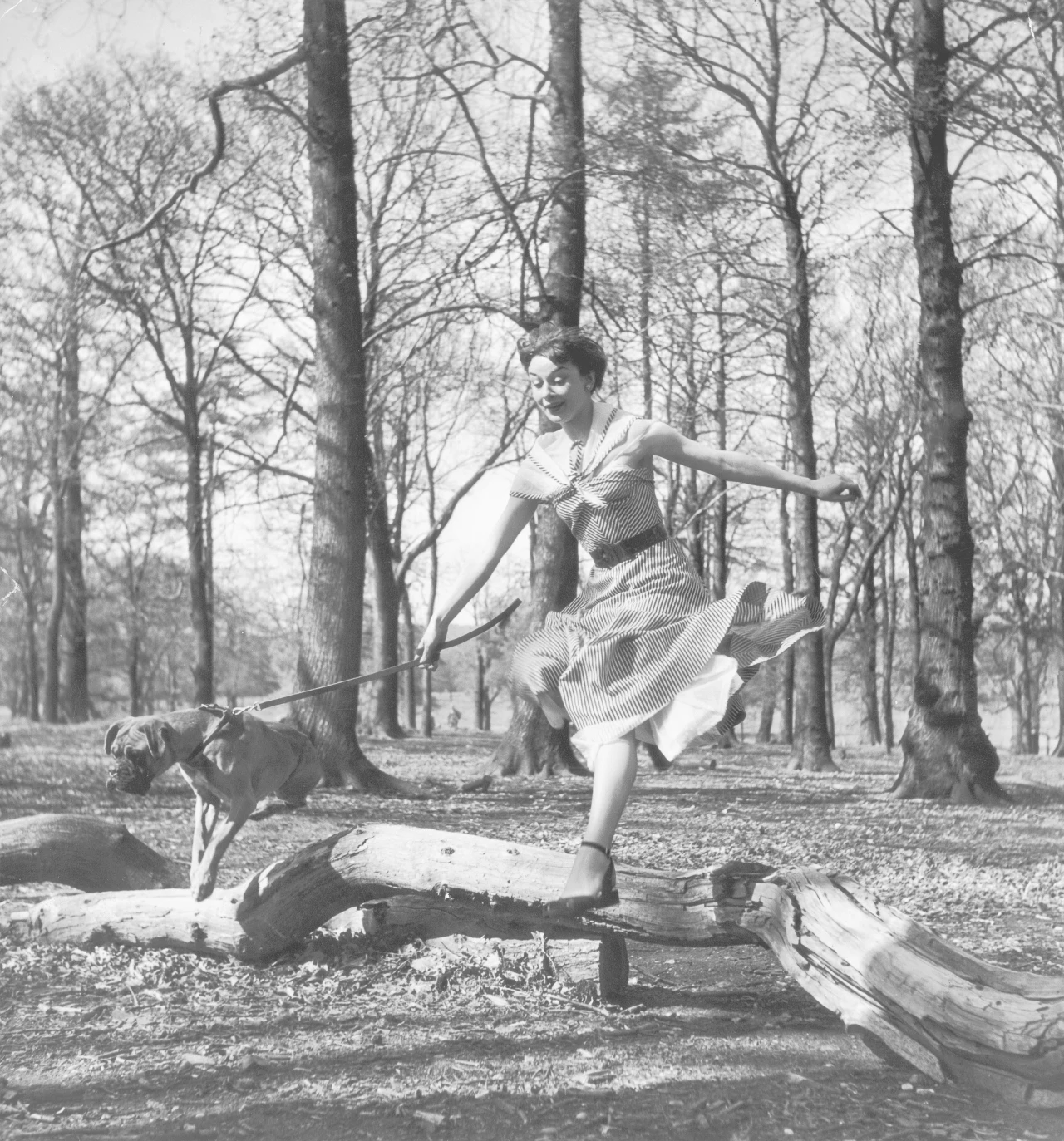 Rok później, latem 1952 r., zrealizowano "Rzymskie wakacje" (reż. William Wyler). Audrey wciela się w rolę młodej księżniczki Anny, która spotyka w Rzymie amerykańskiego dziennikarza Joe Bradleya (Gregory Peck). Anna, mając przed sobą kolejny dzień wypełniony obowiązkami narzucanymi przez protokół dyplomatyczny, postanawia uciec na jakiś czas swoim opiekunom. Jej przewodnikiem po Wiecznym Mieście zostaje Joe, który z początku nie wie, z kim ma do czynienia, ale z czasem rozpoznaję Annę i pragnie wykorzystać tę okazję dla własnych celów.

Na zdjęciu: Audrey Hepburn (1950)