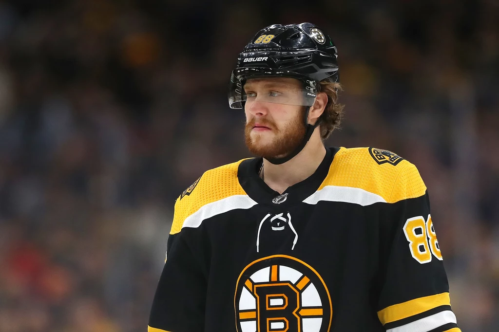 David Pastrnak David Pastrnak