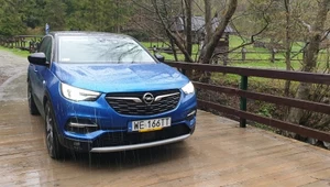 Opel Grandland X jest "rasowy" czy "nierasowy"? 