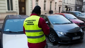 Urzędnikom z konsultacji zapewne wyjdzie, że za parkowanie trzeba płacić więcej, a strefa będzie większa