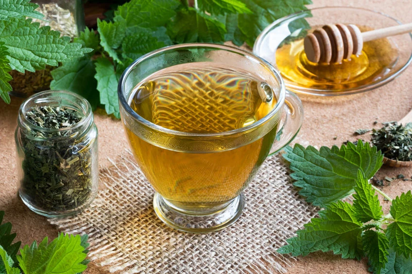 Liście pokrzywy obfitują w kwasy organiczne i szereg cennych witamin, z naciskiem na A, C, E, K i witaminy z grupy B Liście pokrzywy obfitują w kwasy organiczne i szereg cennych witamin, z naciskiem na A, C, E, K i witaminy z grupy B