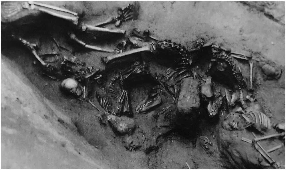 Dynastia Shang praktykowała składanie ofiar z ludzi i zwierząt