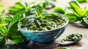 Pesto zielone