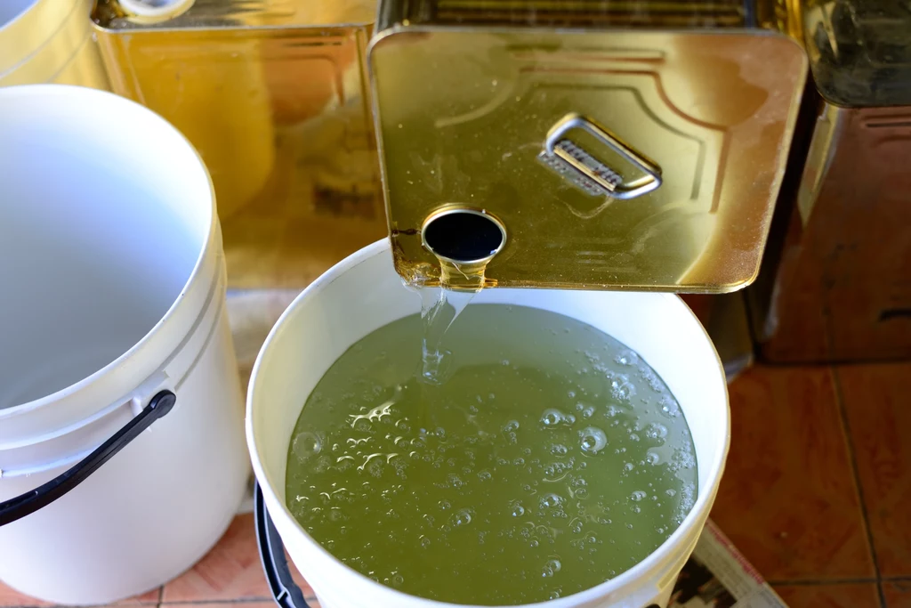 Spożywanie syropu glukozowo-fruktozowego powoduje wzrost stężenia trójglicerydów we krwi Spożywanie syropu glukozowo-fruktozowego powoduje wzrost stężenia trójglicerydów we krwi