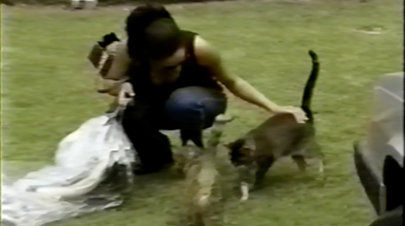 Meghan z kotem Meghan z kotem