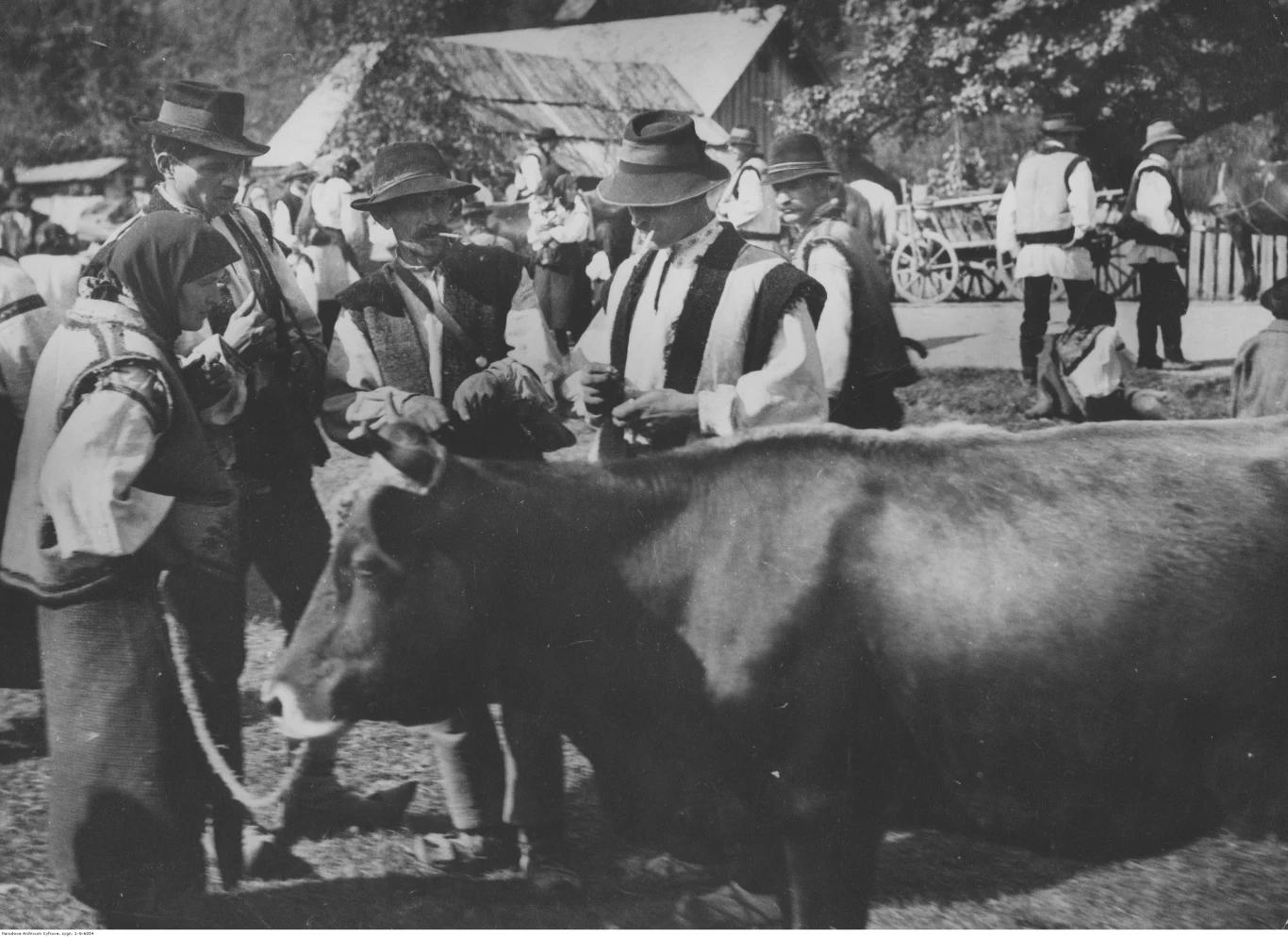 Do Stanów Zjednoczonych przybyły blisko 3 miliony Polaków. W większości byli to niewykształceni mieszkańcy wsi Do Stanów Zjednoczonych przybyły blisko 3 miliony Polaków. W większości byli to niewykształceni mieszkańcy wsi