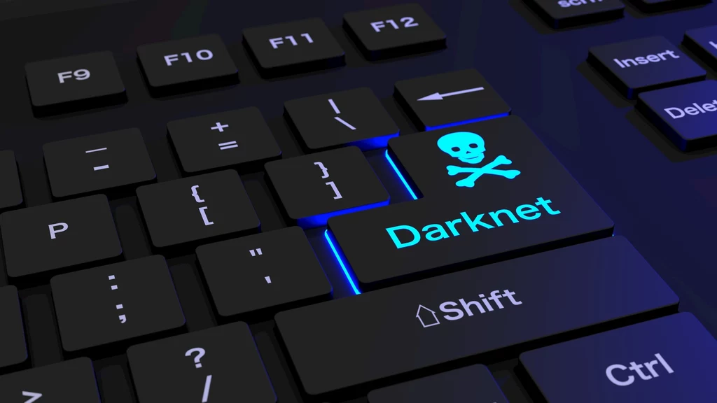 Dark web jest definiowany jako celowo ukryte zasoby internetu. Składa się z wielu rozproszonych węzłów - cebul - działających lokalnie, niewidocznych i niedostępnych z poziomu internetu