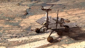 Łazik Opportunity