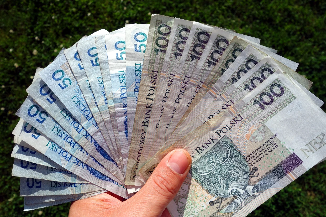 Główny Urząd Statystyczny (GUS) opublikował najnowsze dane o rozkładzie wynagrodzeń w gospodarce narodowej w listopadzie 2024 r. Główny Urząd Statystyczny (GUS) opublikował najnowsze dane o rozkładzie wynagrodzeń w gospodarce narodowej w listopadzie 2024 r.