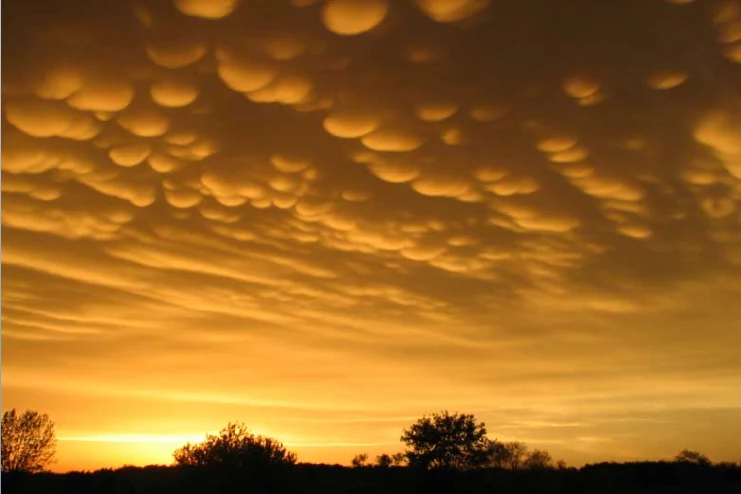 Chmury mammatus