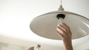 Lampy LED po prostu się opłacają. Są na to niezbite dowody