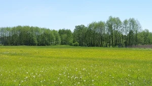 Lubelszczyzna, zdj. ilustracyjne