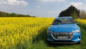 Audi e-tron advanced 55 quattro