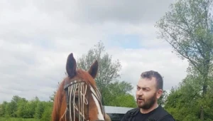 Klacz uciekła z posesji w Bieruniu, interweniowali policjanci