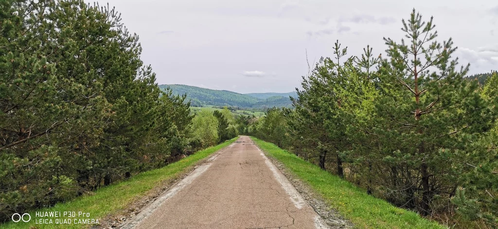 Eksperymentując z fotografią możemy łamać zasady kompozycji tworząc oryginalne i nietypowe obrazy Eksperymentując z fotografią możemy łamać zasady kompozycji tworząc oryginalne i nietypowe obrazy