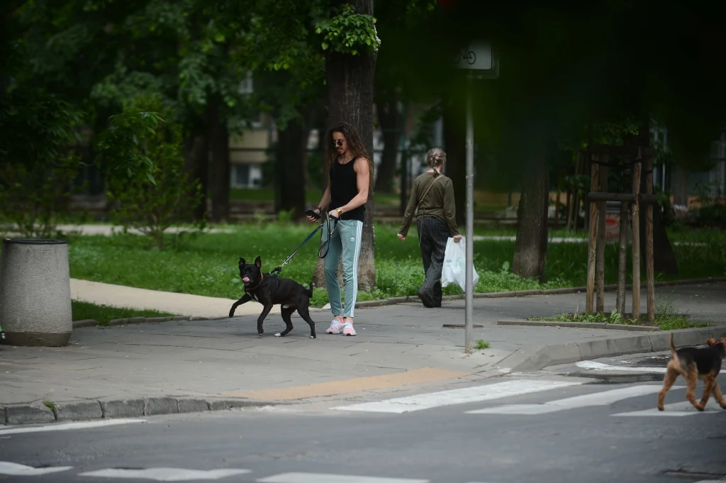 Michał Szpak z psem Michał Szpak z psem