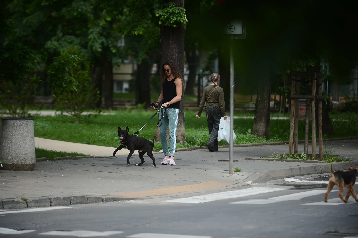 Michał Szpak z psem