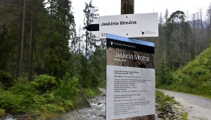 Tablica informacyjna w Dolinie Kościeliskiej kieruąca na szlak do Jaskini Mroźnej