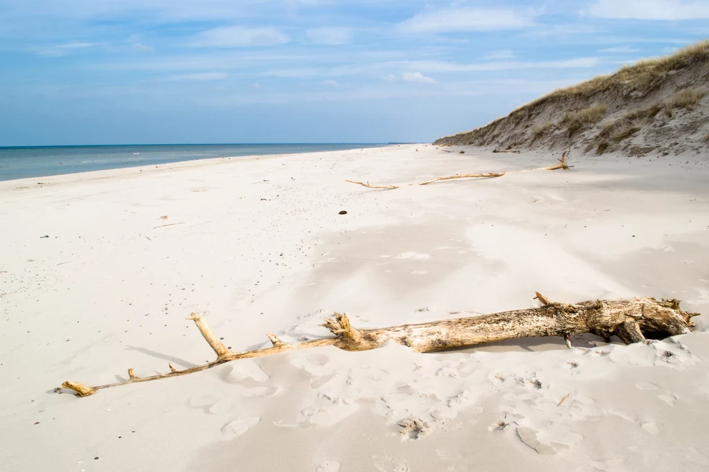 Łebska plaża jest szeroka, czysta i malownicza