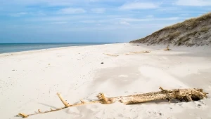 Plaża w Łebie, zdjęcie ilustracyjne