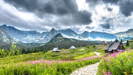 ​To najlepszy moment na wycieczkę w Tatry. Tylko teraz zobaczysz wyjątkowe zjawisko
