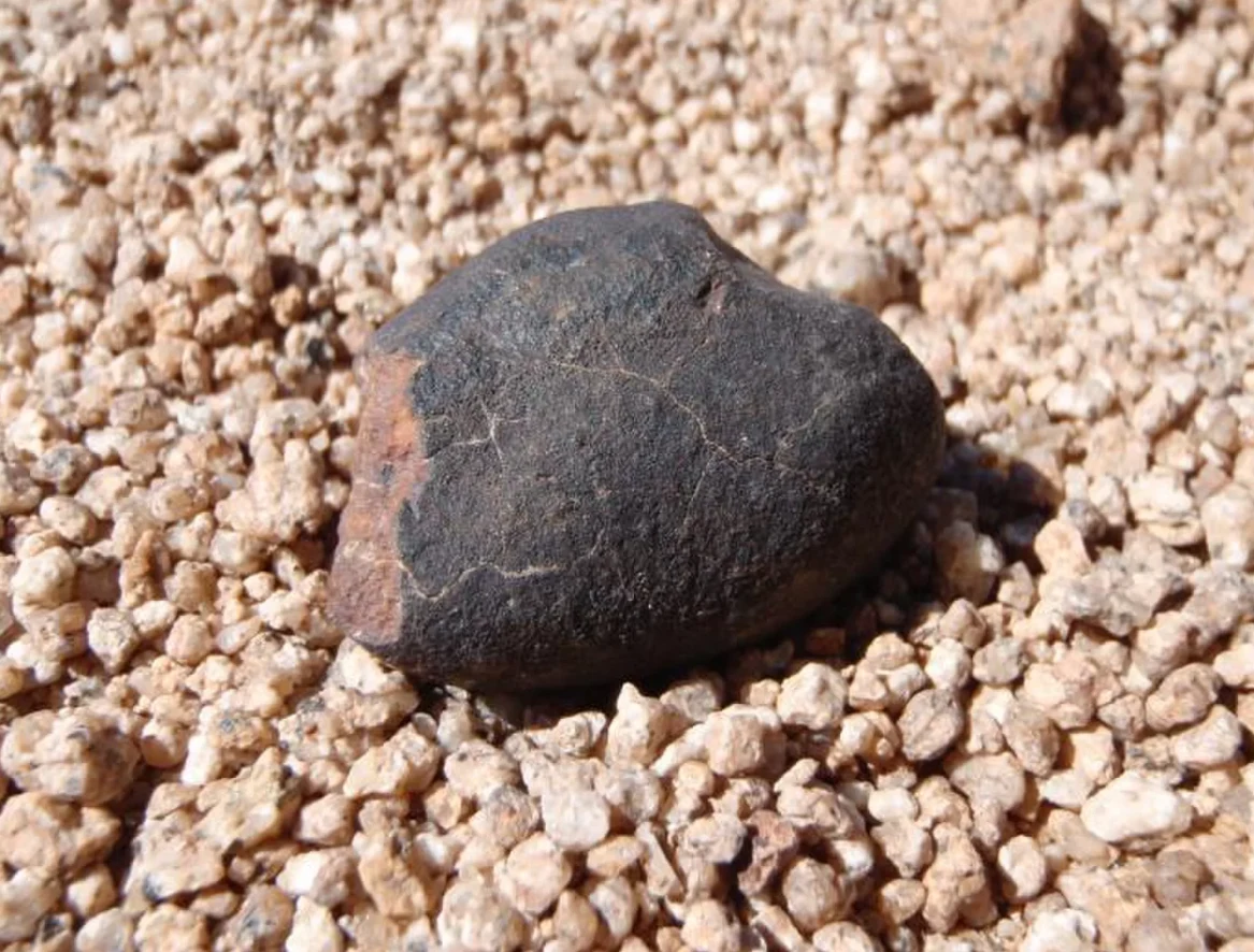 Takie meteoryty można znaleźć na pustyni Atakama Takie meteoryty można znaleźć na pustyni Atakama