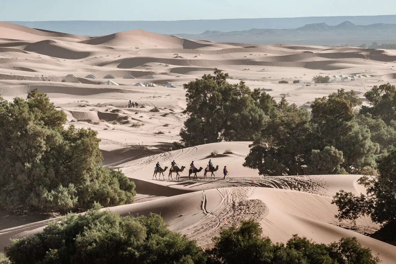 Runmageddon Sahara Runmageddon Sahara