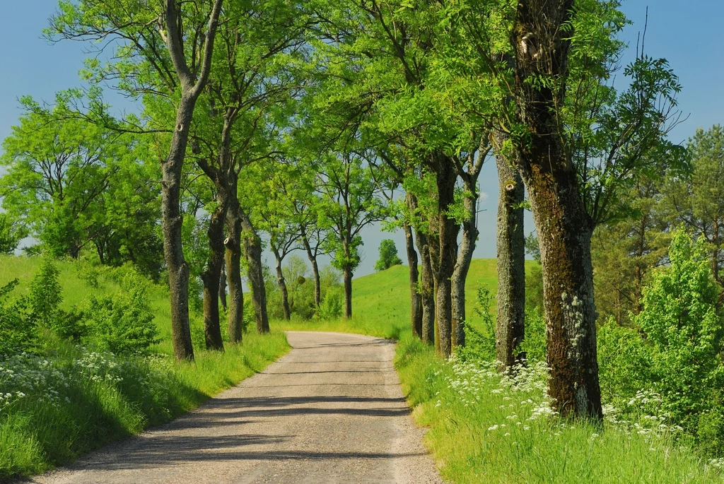 Mazury to piękny rejon, ale bez dobrego dojazdu