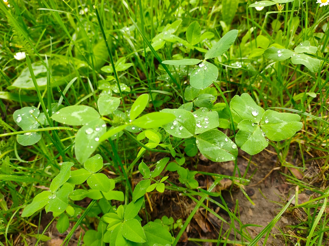 Zdjęcia wykonano smartfonem Oppo Reno Zdjęcia wykonano smartfonem Oppo Reno