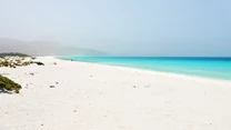 Socotra