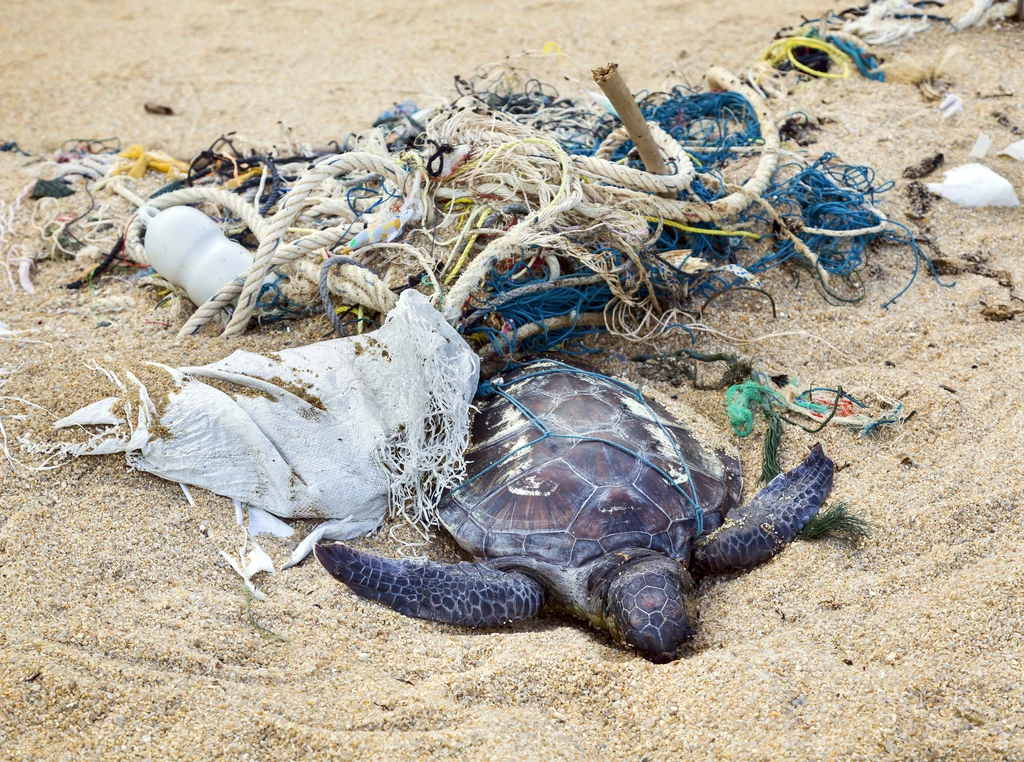 Szacuje się, że co roku do oceanów trafia od 8 do 12 mln ton plastiku