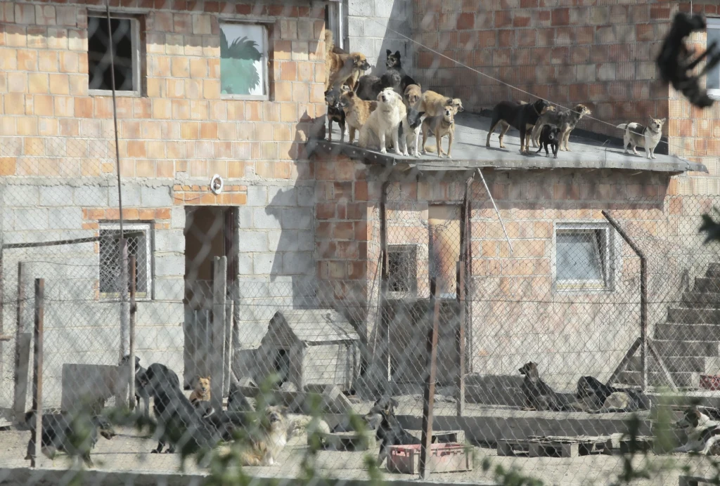 Dom Bożeny Wahl Dom Bożeny Wahl