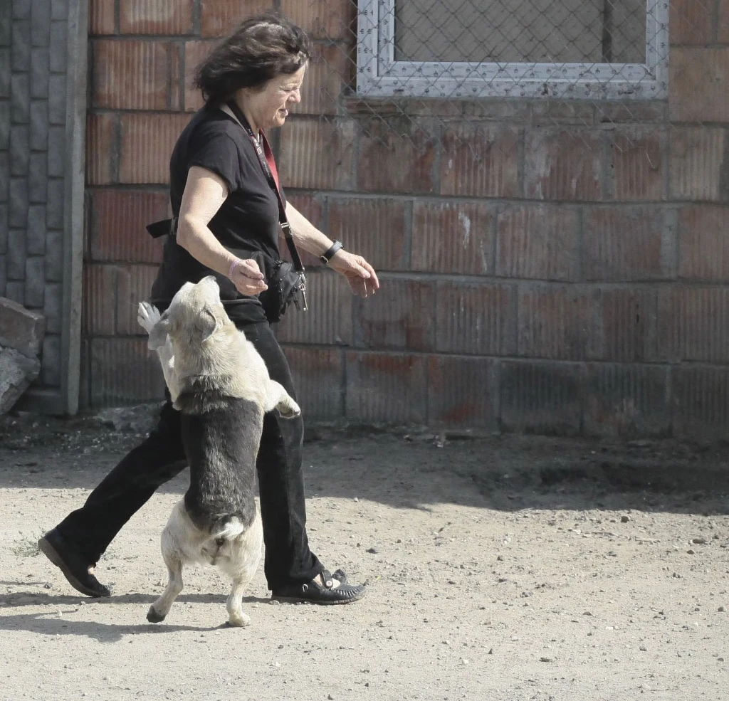 Bożena Wahl znalazła się w trudnej sytuacji życiowej