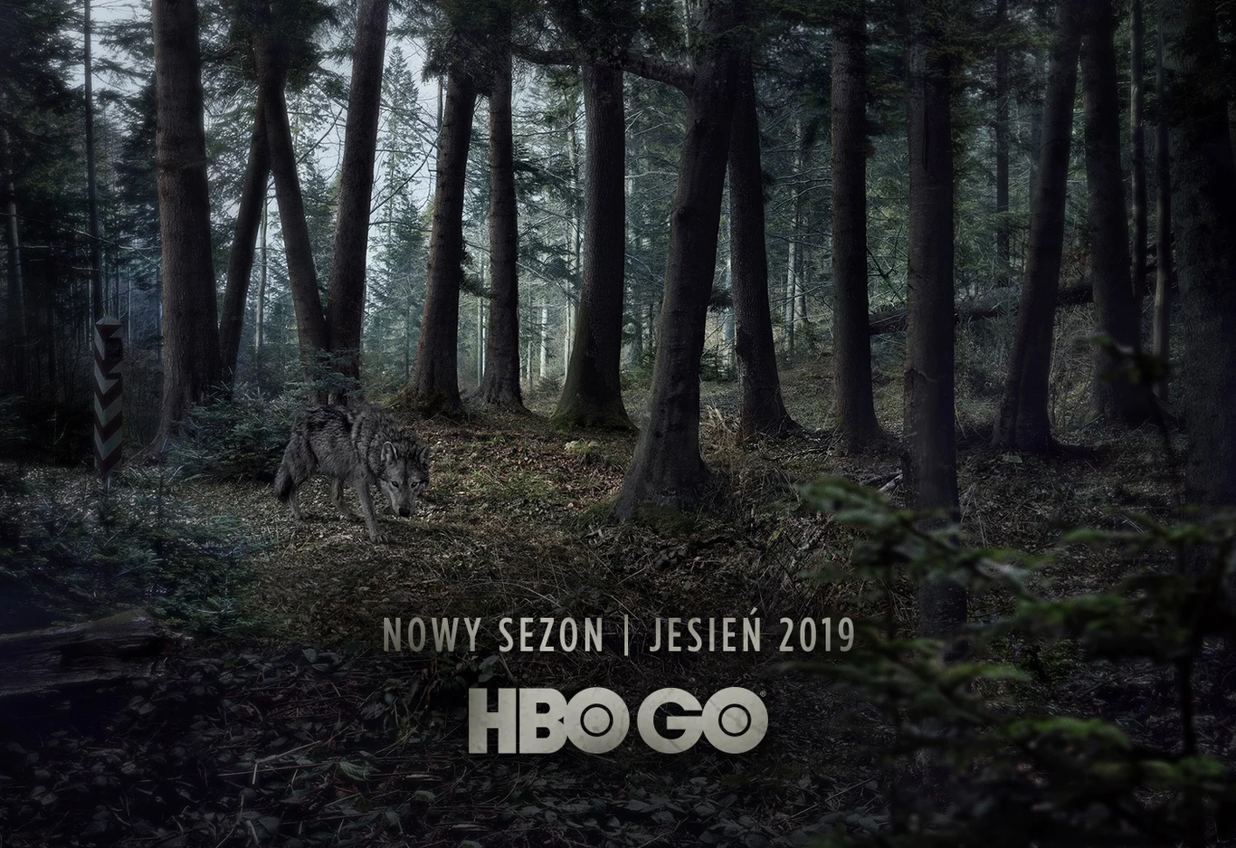 Trzeci sezon "Watahy" jesienią 2019 w HBO Trzeci sezon "Watahy" jesienią 2019 w HBO