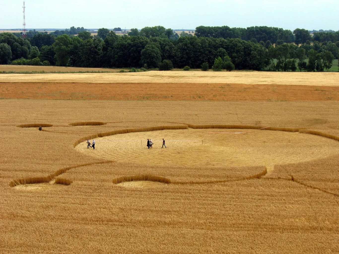 Kręgi w zbożu pojawiają się także w Polsce. Rok 2007, Wylatowo Kręgi w zbożu pojawiają się także w Polsce. Rok 2007, Wylatowo